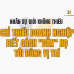 Nhân Sự Giỏi Không Thiếu – Chỉ Thiếu Doanh Nghiệp Biết Cách "Dẫn" Họ Tới Đúng Vị Trí
