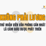 Không Phải Lương – Thứ Nhân Viên Văn Phòng Cần Nhất Là Cảm Giác Được Phát Triển